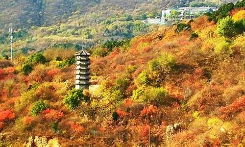 北京森林公园有哪些景点介绍图片_北京森林