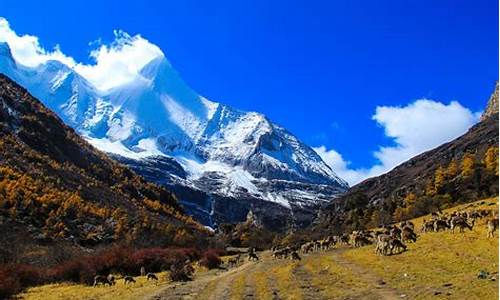 稻城亚丁旅游攻略景点必去,稻城亚丁景区景