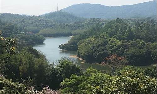 宜昌余海波_天鹿湖森林公园附近美食