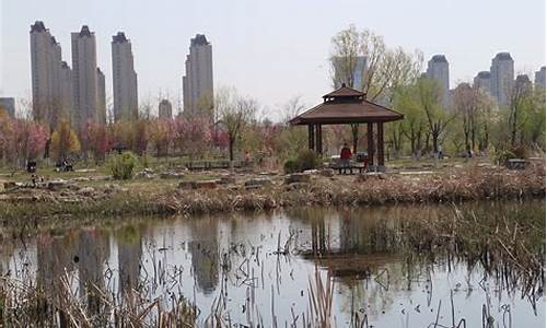 天津水西公园原来是墓地吗,天津水西公园