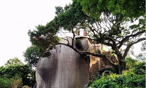 春节厦门住宿攻略,厦门旅游住宿价格