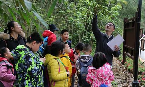 生态研学活动心得作文,生态旅游景点研学