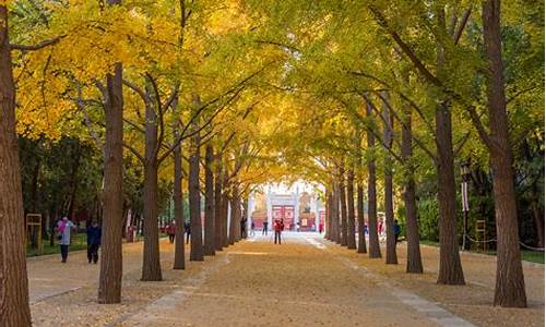 北京地坛公园车展_地坛公园2021春节