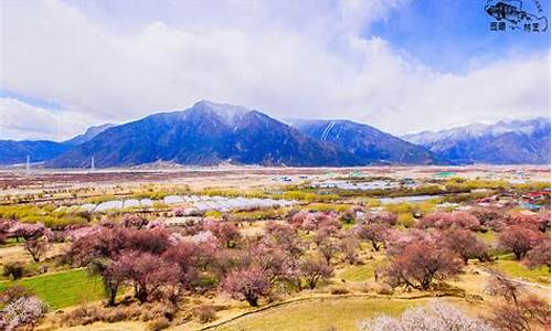 林芝旅游攻略游攻略林芝一日游_林芝旅游攻略景点必去知乎大全