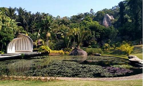 厦门万石植物园的植物及介绍_厦门万石植物园攻略