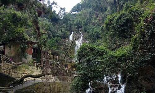 鼎湖山旅游攻略自驾游_鼎湖山 一日游攻略