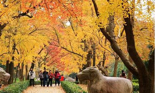 南京秋季旅游景点大全,南京秋季旅游攻略景点必去