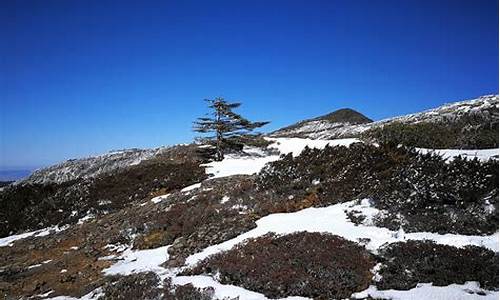 轿子雪山自驾游攻略,轿子雪山一日游6点出发