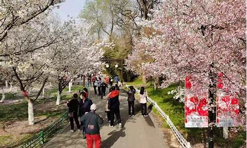 玉渊潭公园樱花节门票_玉渊潭公园樱花节门票