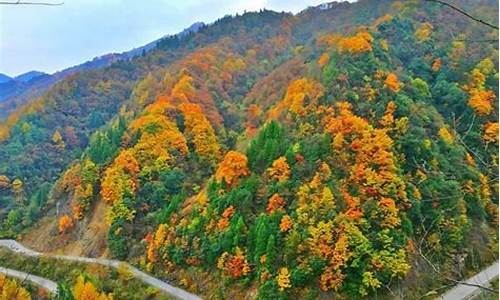 光雾山旅游攻略2日游_光雾山二日游攻略