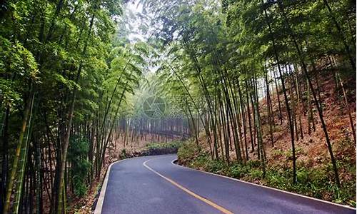 四川生态旅游区_四川生态旅游景点