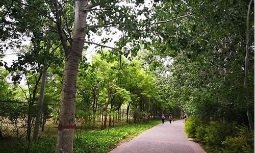 东坝郊野公园乘车路线,东坝郊野公园驾车