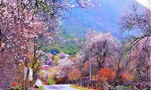 林芝三日游路线,林芝旅游攻略三日游价格