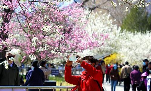 清明节 北京旅游,清明节北京旅游攻略