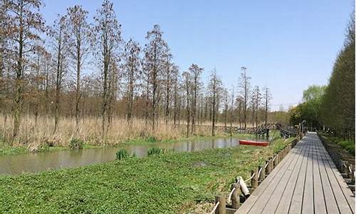 西青郊野公园地址_西青郊野公园