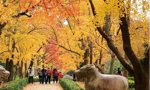 南京秋季旅游攻略景点必去,南京秋天旅游攻略