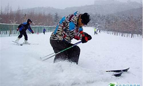 大连劳动公园滑雪场电话-大连劳动公园滑雪场