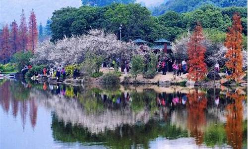 春季旅游景点-春季旅游景点宣传海报