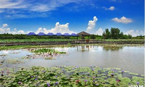 南沙湿地公园游船时间-南沙湿地公园游船路线