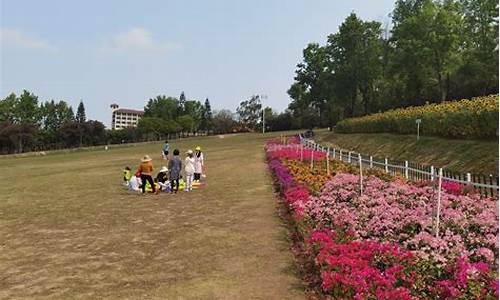 紫马岭公园滑草-紫马岭公园滑板场