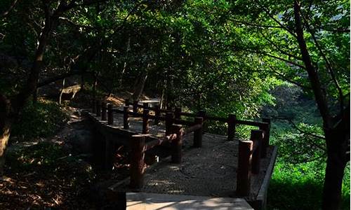 广州龙头山森林公园介绍_广州龙头山森林公