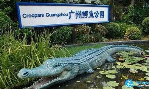 广州鳄鱼公园位置,广州鳄鱼公园塑胶鳄鱼