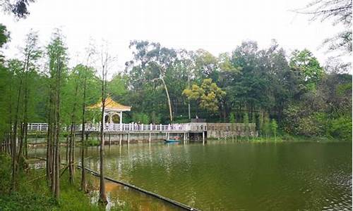 广州市天鹿湖森林公园怎么去?_广州天鹿湖