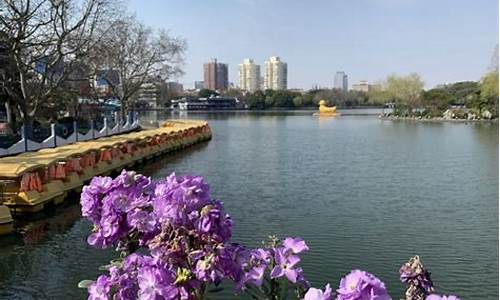 上海长风公园3d_上海长风公园景点介绍