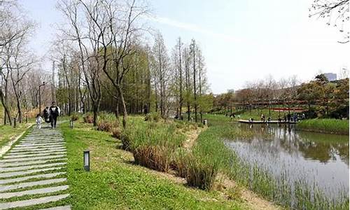 上海好玩的湿地公园_上海湿地公园主要有什么特点